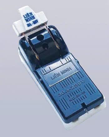 Cầu dao sứ 60A2F LM CS60